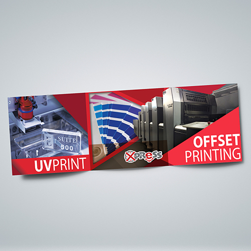 Long Print (32 x 70 cm)